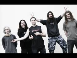 interview Pitbulls In The Nursery